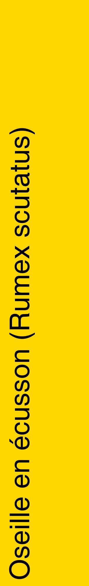 Étiquette de : Rumex scutatus - format c - style noire21_basiquehel avec comestibilité