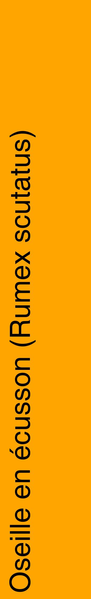 Étiquette de : Rumex scutatus - format c - style noire22_basiquehel avec comestibilité