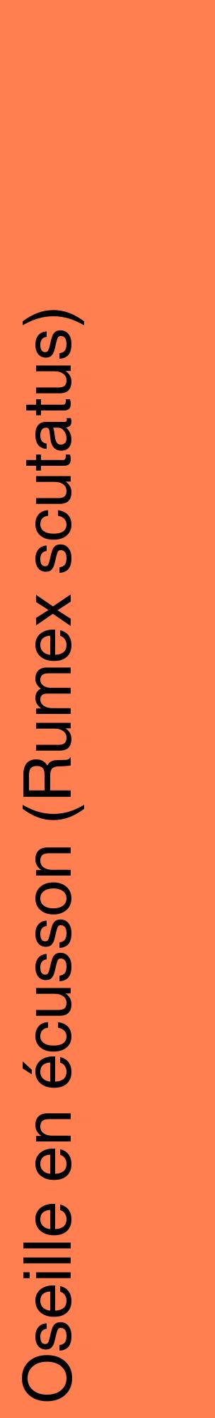 Étiquette de : Rumex scutatus - format c - style noire24_basiquehel avec comestibilité
