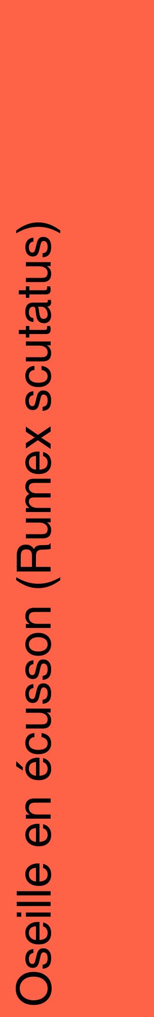 Étiquette de : Rumex scutatus - format c - style noire25_basiquehel avec comestibilité