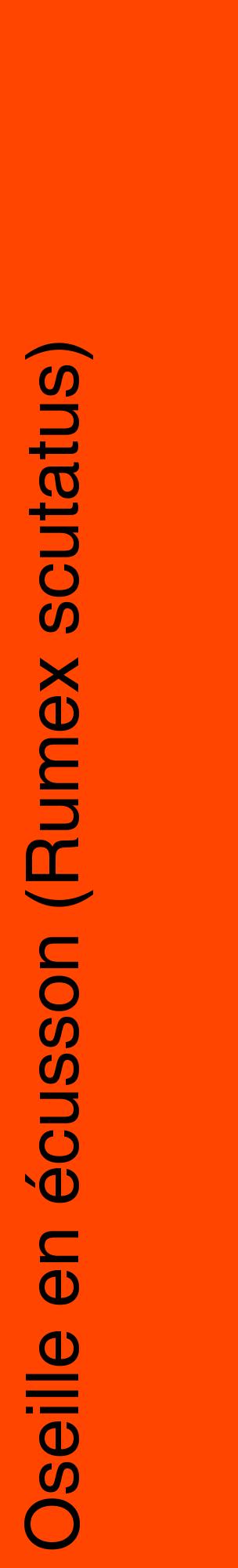 Étiquette de : Rumex scutatus - format c - style noire26_basiquehel avec comestibilité