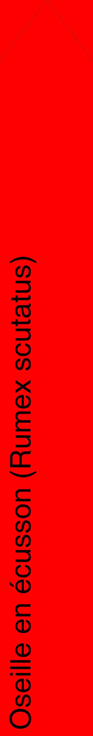 Étiquette de : Rumex scutatus - format c - style noire27_simplehel avec comestibilité