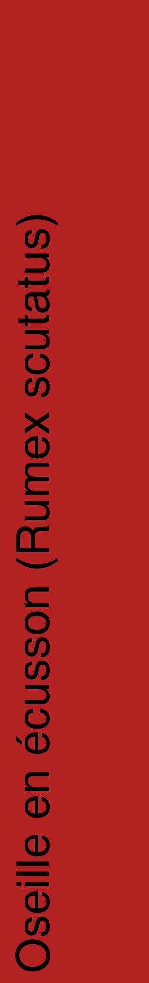 Étiquette de : Rumex scutatus - format c - style noire28_basiquehel avec comestibilité