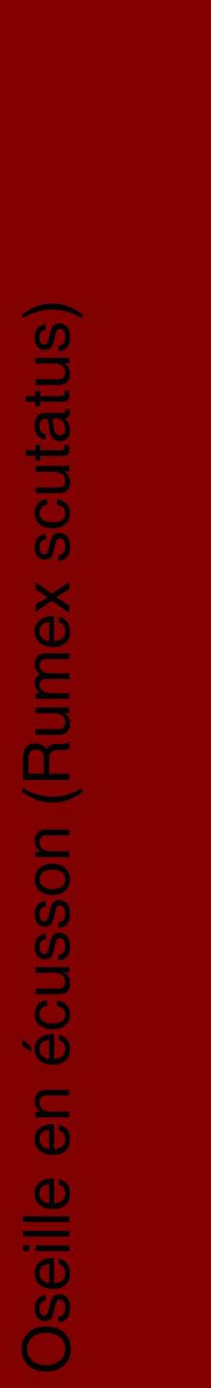 Étiquette de : Rumex scutatus - format c - style noire29_basiquehel avec comestibilité