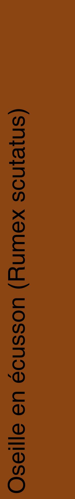 Étiquette de : Rumex scutatus - format c - style noire30_basiquehel avec comestibilité