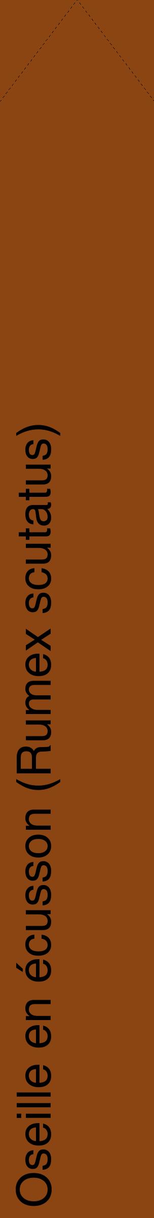 Étiquette de : Rumex scutatus - format c - style noire30_simplehel avec comestibilité