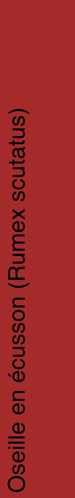 Étiquette de : Rumex scutatus - format c - style noire33_basiquehel avec comestibilité