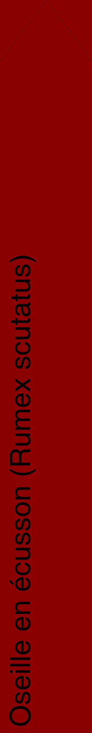 Étiquette de : Rumex scutatus - format c - style noire34_simplehel avec comestibilité