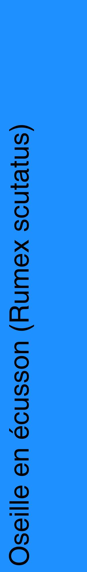 Étiquette de : Rumex scutatus - format c - style noire3_basiquehel avec comestibilité