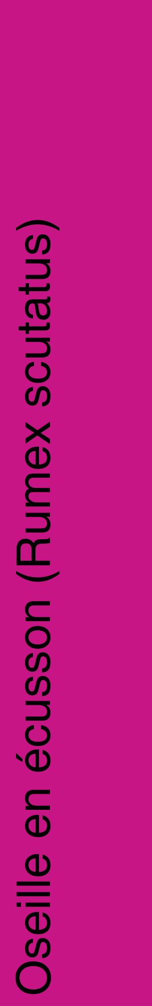 Étiquette de : Rumex scutatus - format c - style noire45_basiquehel avec comestibilité