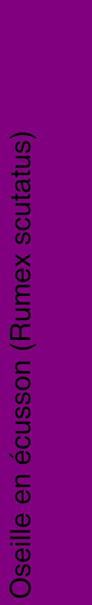 Étiquette de : Rumex scutatus - format c - style noire46_basiquehel avec comestibilité