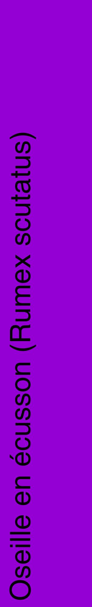 Étiquette de : Rumex scutatus - format c - style noire48_basiquehel avec comestibilité