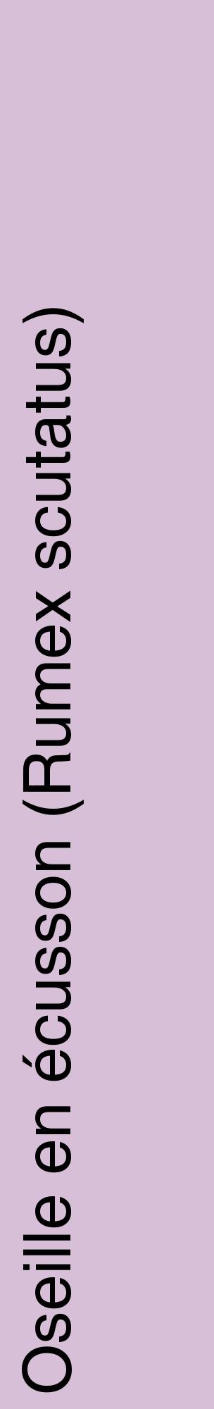 Étiquette de : Rumex scutatus - format c - style noire54_basiquehel avec comestibilité