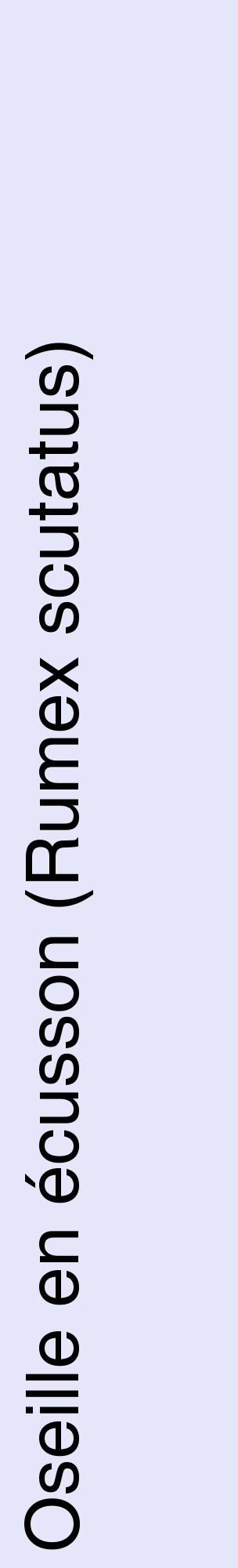 Étiquette de : Rumex scutatus - format c - style noire55_basiquehel avec comestibilité