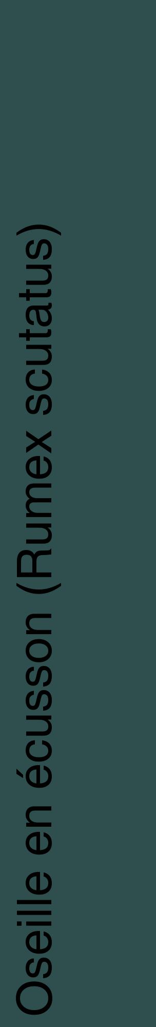 Étiquette de : Rumex scutatus - format c - style noire58_basiquehel avec comestibilité