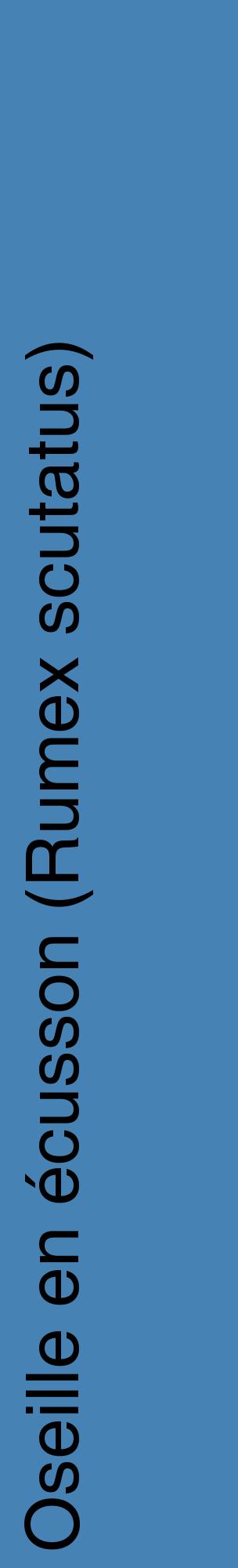 Étiquette de : Rumex scutatus - format c - style noire5_basiquehel avec comestibilité