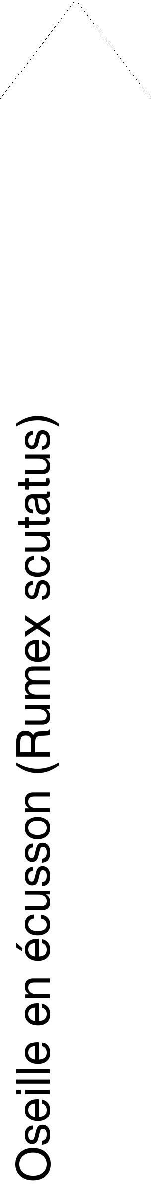 Étiquette de : Rumex scutatus - format c - style noire60_simplehel avec comestibilité