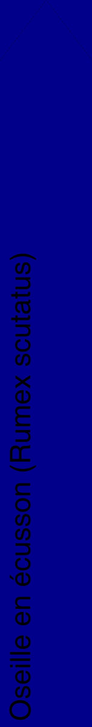 Étiquette de : Rumex scutatus - format c - style noire7_simplehel avec comestibilité