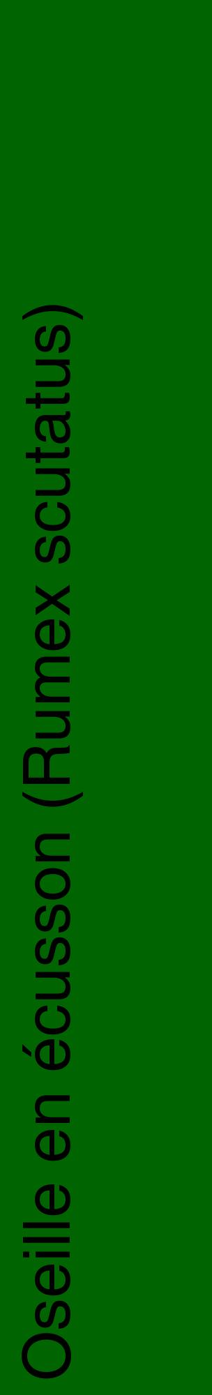 Étiquette de : Rumex scutatus - format c - style noire8_basiquehel avec comestibilité