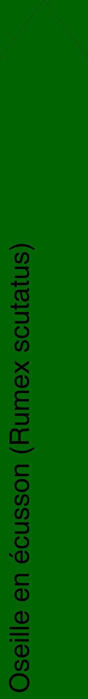 Étiquette de : Rumex scutatus - format c - style noire8_simplehel avec comestibilité