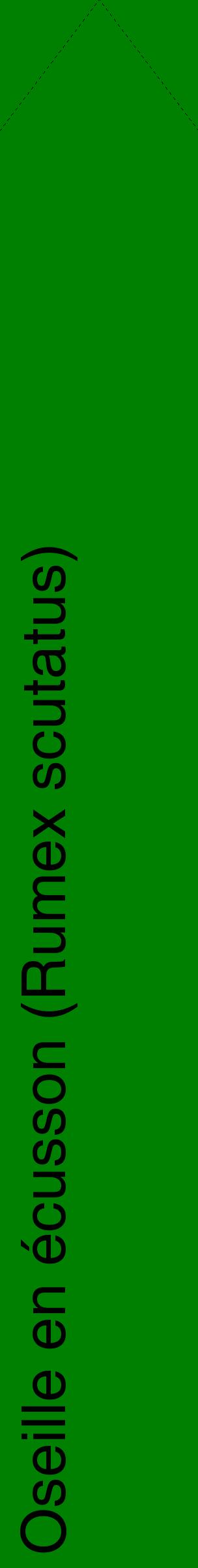 Étiquette de : Rumex scutatus - format c - style noire9_simplehel avec comestibilité