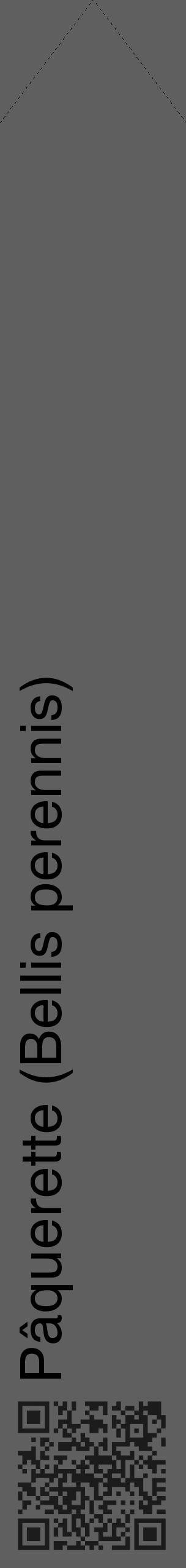 Étiquette de : Bellis perennis - format c - style noire10_simple_simplehel avec qrcode et comestibilité - position verticale