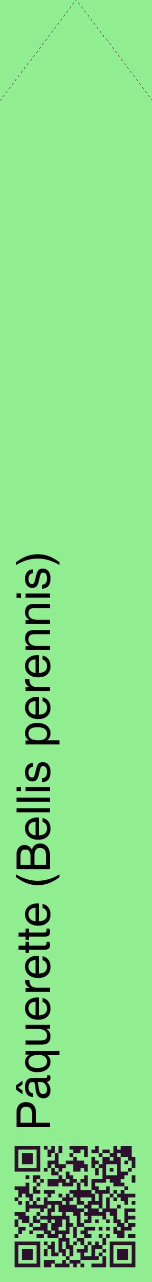 Étiquette de : Bellis perennis - format c - style noire15_simplehel avec qrcode et comestibilité