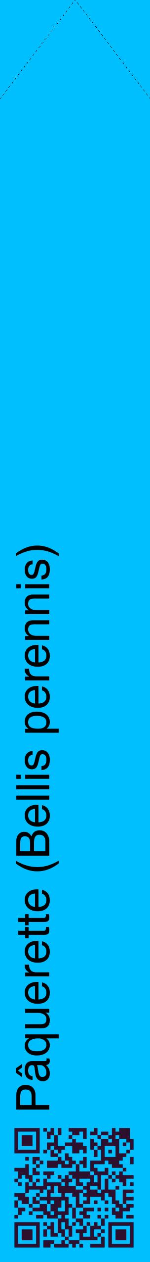 Étiquette de : Bellis perennis - format c - style noire2_simplehel avec qrcode et comestibilité