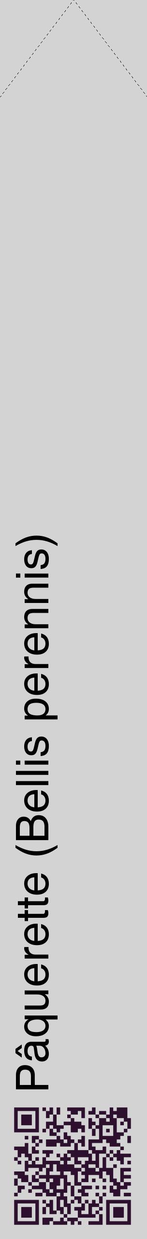 Étiquette de : Bellis perennis - format c - style noire56_simplehel avec qrcode et comestibilité