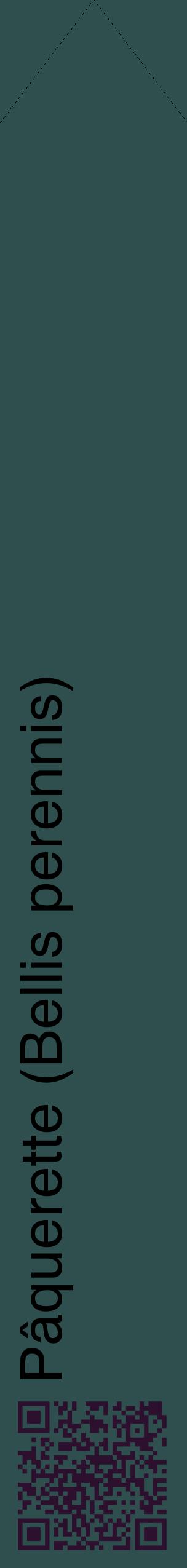 Étiquette de : Bellis perennis - format c - style noire58_simplehel avec qrcode et comestibilité
