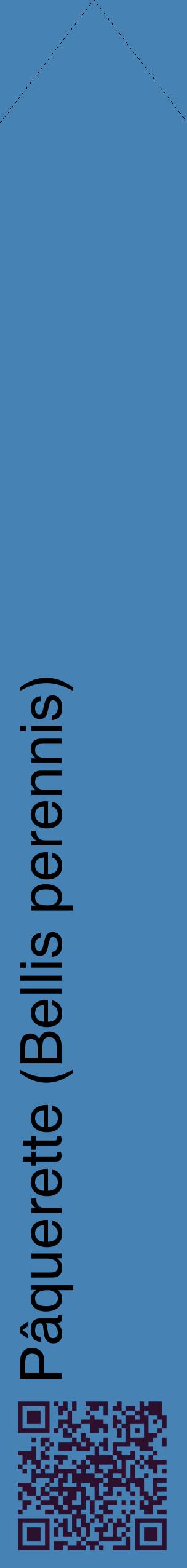 Étiquette de : Bellis perennis - format c - style noire5_simplehel avec qrcode et comestibilité