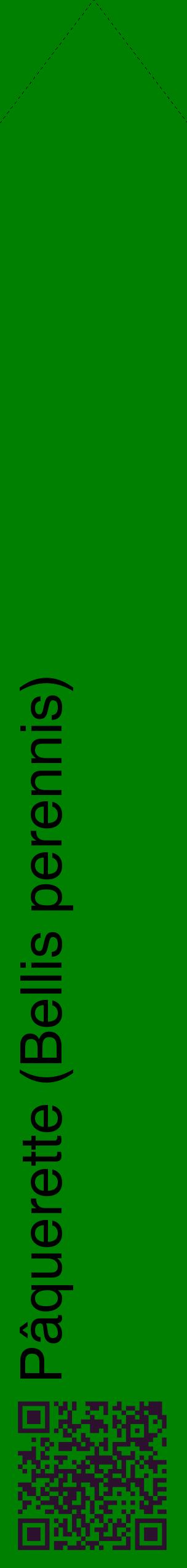 Étiquette de : Bellis perennis - format c - style noire9_simplehel avec qrcode et comestibilité