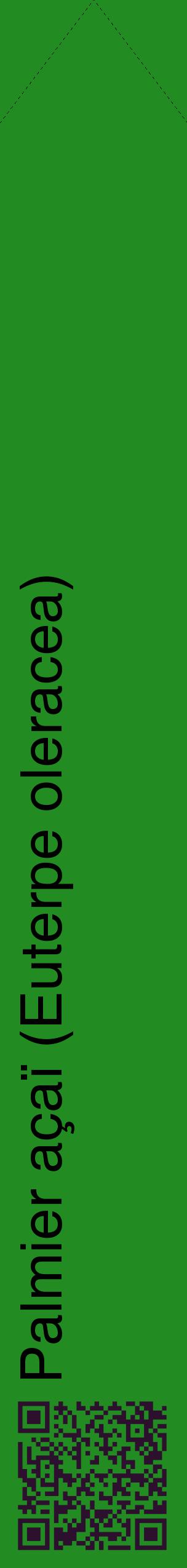 Étiquette de : Euterpe oleracea - format c - style noire10_simplehel avec qrcode et comestibilité