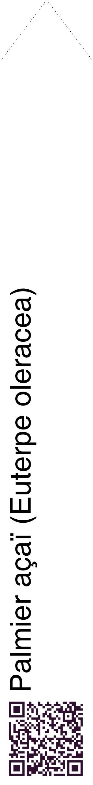 Étiquette de : Euterpe oleracea - format c - style noire60_simplehel avec qrcode et comestibilité