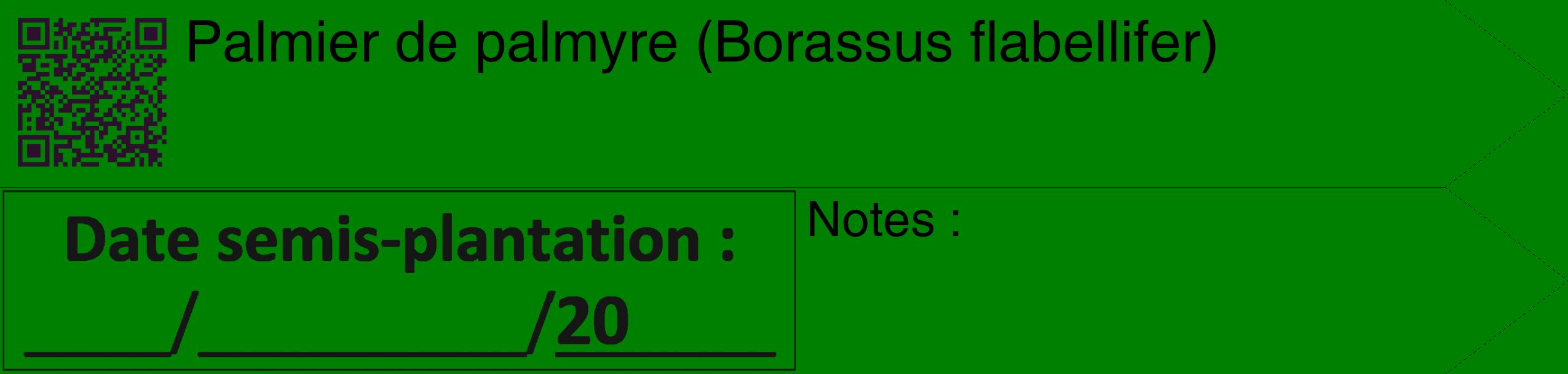 Étiquette de : Borassus flabellifer - format c - style noire9_simple_simplehel avec qrcode et comestibilité