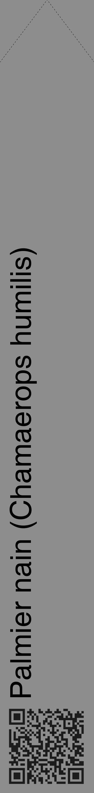 Étiquette de : Chamaerops humilis - format c - style noire2_simple_simplehel avec qrcode et comestibilité - position verticale