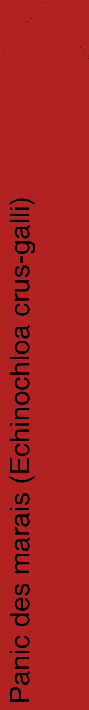 Étiquette de : Echinochloa crus-galli - format c - style noire28_simplehel avec comestibilité