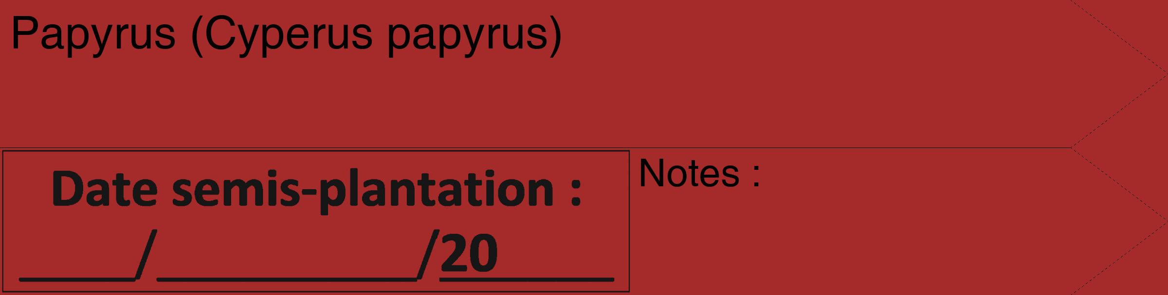 Étiquette de : Cyperus papyrus - format c - style noire33_simple_simplehel avec comestibilité