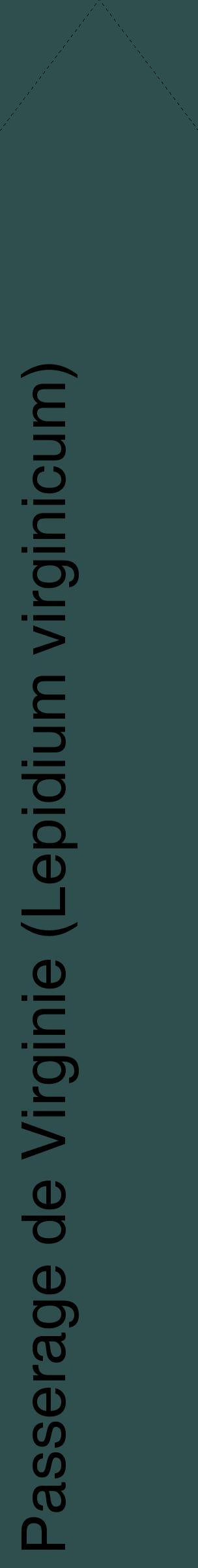 Étiquette de : Lepidium virginicum - format c - style noire58_simplehel avec comestibilité