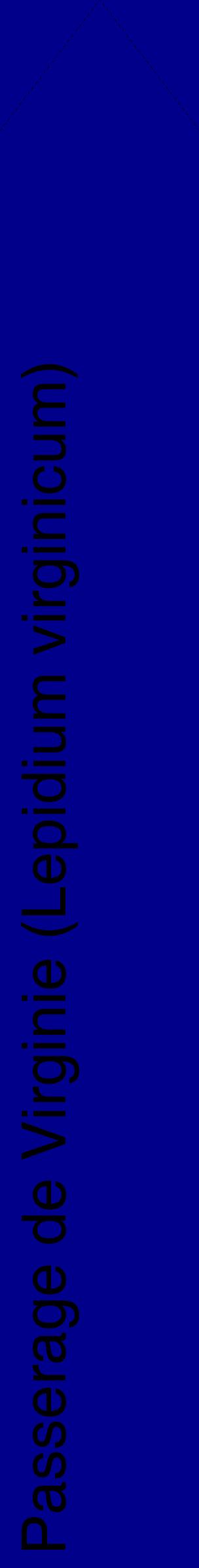Étiquette de : Lepidium virginicum - format c - style noire7_simplehel avec comestibilité