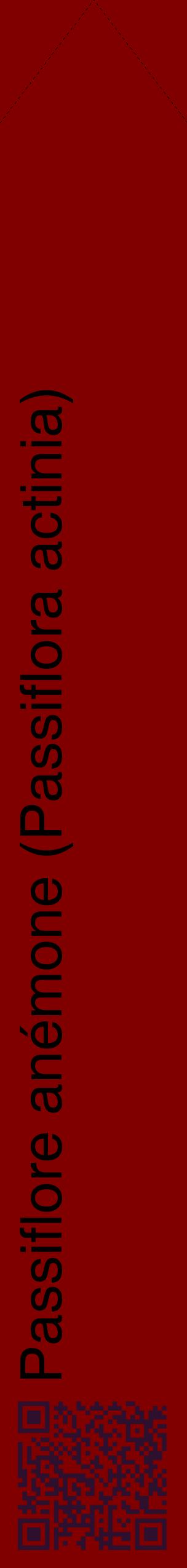 Étiquette de : Passiflora actinia - format c - style noire29_simplehel avec qrcode et comestibilité