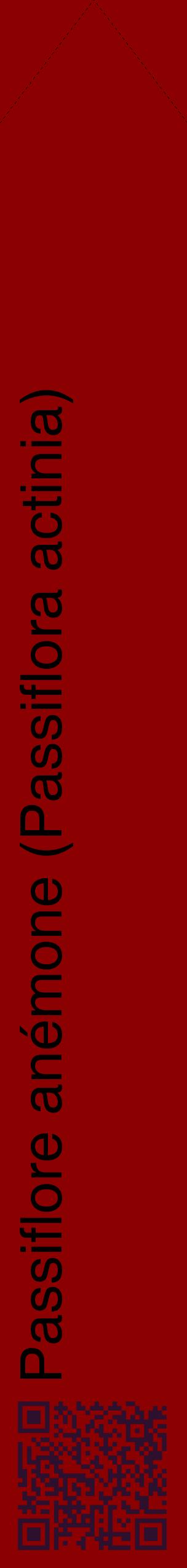 Étiquette de : Passiflora actinia - format c - style noire34_simplehel avec qrcode et comestibilité