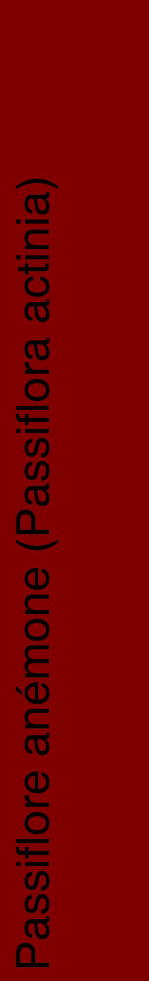 Étiquette de : Passiflora actinia - format c - style noire29_basiquehel avec comestibilité
