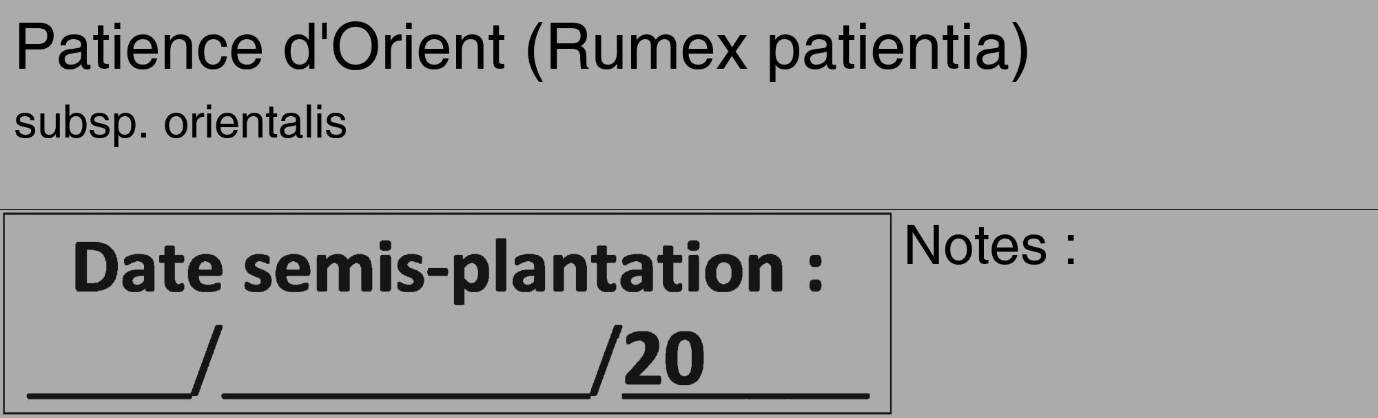 Étiquette de : Rumex patientia subsp. orientalis - format c - style noire37_basique_basiquehel avec comestibilité