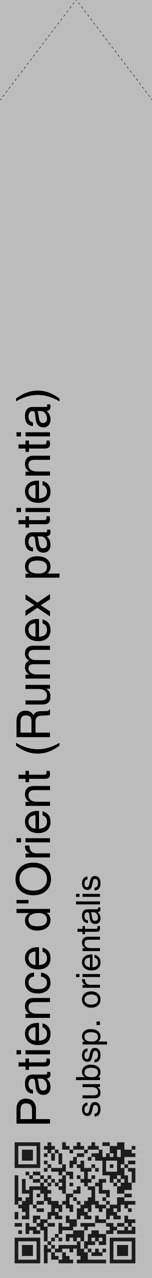 Étiquette de : Rumex patientia subsp. orientalis - format c - style noire1_simple_simplehel avec qrcode et comestibilité - position verticale