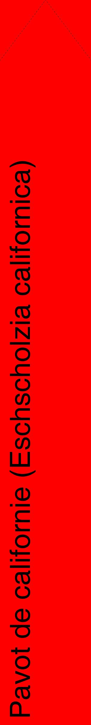 Étiquette de : Eschscholzia californica - format c - style noire27_simplehel avec comestibilité