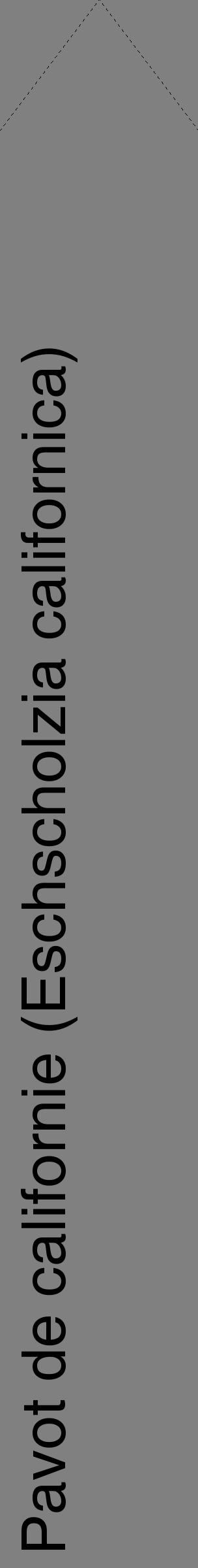 Étiquette de : Eschscholzia californica - format c - style noire57_simplehel avec comestibilité
