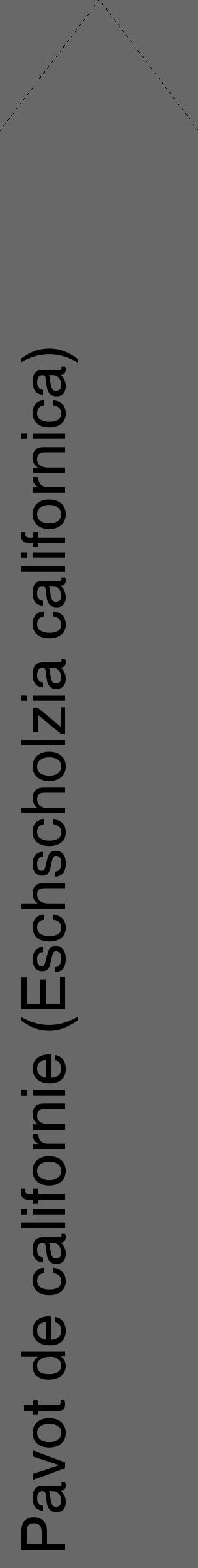 Étiquette de : Eschscholzia californica - format c - style noire6_simple_simplehel avec comestibilité - position verticale