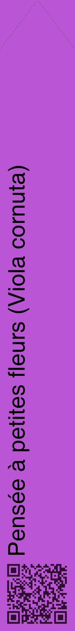 Étiquette de : Viola cornuta - format c - style noire50_simplehel avec qrcode et comestibilité