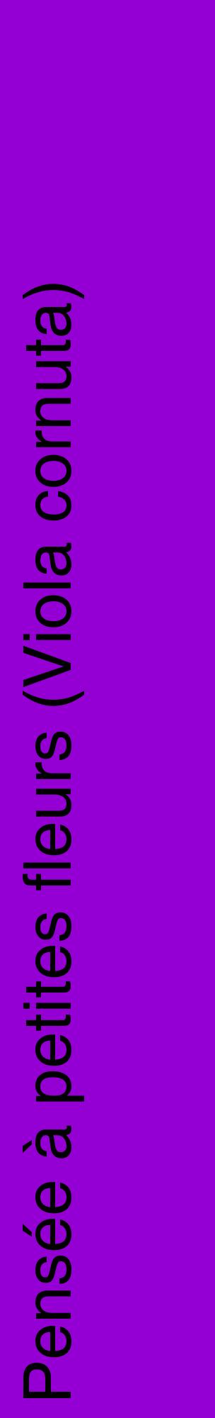 Étiquette de : Viola cornuta - format c - style noire48_basiquehel avec comestibilité